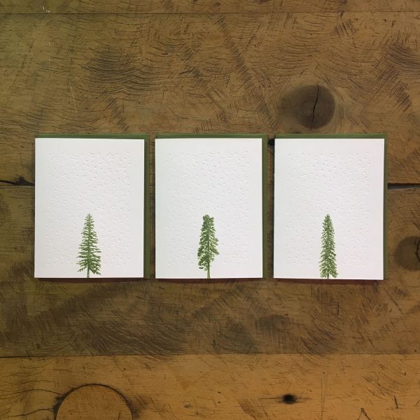Conifer Tree Letterpress Holiday Cards
