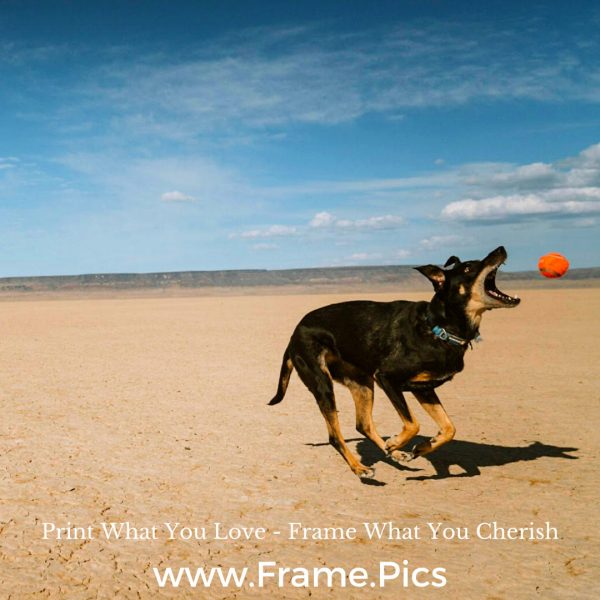 Fine Art and Fine Photography Printing – Small to large format digital printing