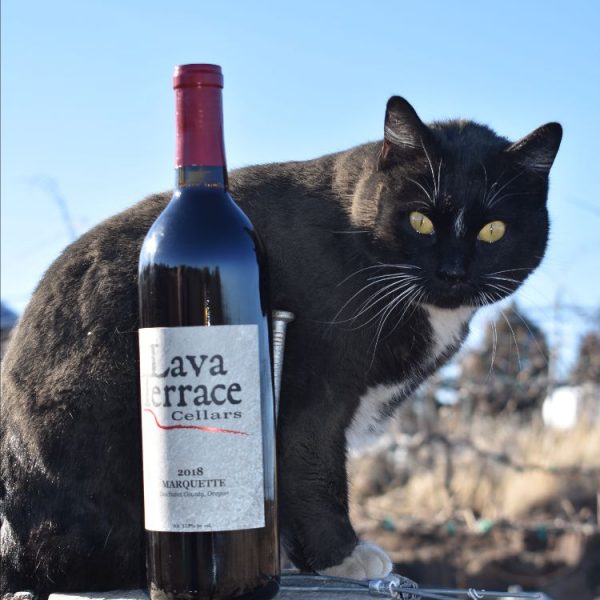 Lava Terrace Cellars Newsletter