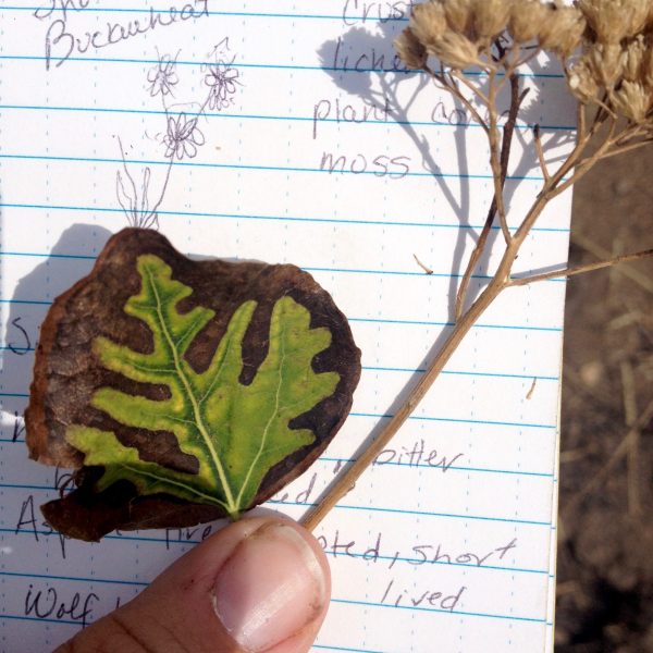 Adult Naturalist Immersion Program