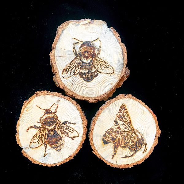 Bee Wood-Burnings